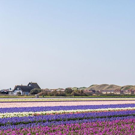 Vakantiehuis Zilt - Julianadorp Aan Zee מראה חיצוני תמונה